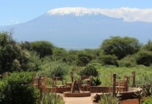 Tourvest launches Tulia to make East African safari travel accessible to a wider market | News