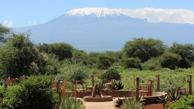 Tourvest launches Tulia to make East African safari travel accessible to a wider market | News