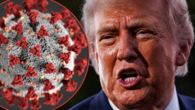 Trump's conspiracies have exploded due to the Hantavirus and Ebola outbreaks