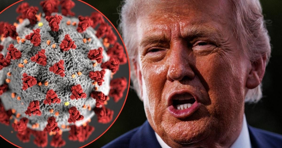 Trump's conspiracies have exploded due to the Hantavirus and Ebola outbreaks