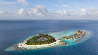 W Maldives introduces the Wavemaker Edit – a new era of cultural collaboration unfolds this June | News