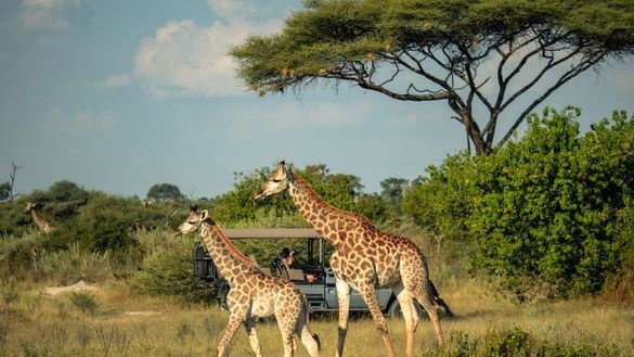 Why the bucket list gets in the way of a meaningful adventure | News
