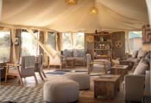Wild Wakati Camp: where wine meets wilderness in the heart of the Serengeti | News