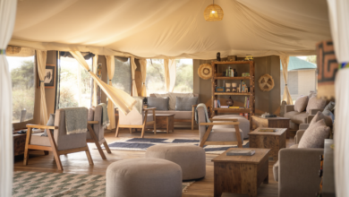 Wild Wakati Camp: where wine meets wilderness in the heart of the Serengeti | News
