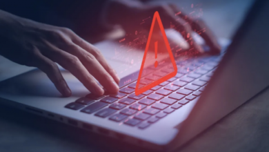A third of holidaymakers report an increase in travel fraud on social media in the past year | News