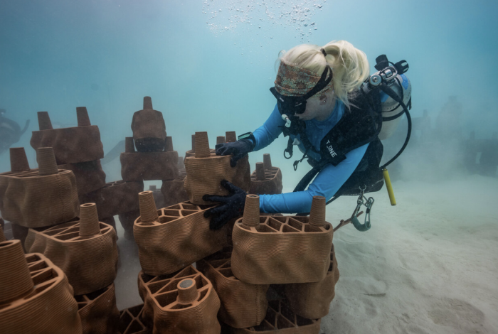 Anantara Dhigu Maldives Resort collaborates with rrreefs on innovative 3D printed clay reef project | News