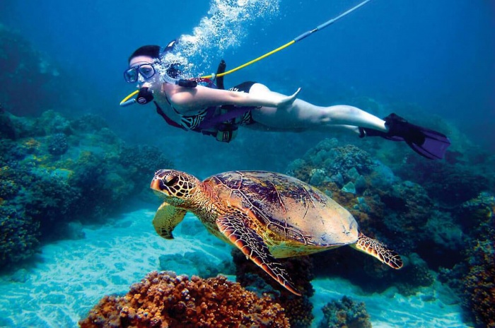 Aquatic Experience in the British Virgin Islands receives prestigious International Telly Award 2026 | News