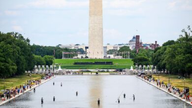 Avoid the DC Reflecting Pool disaster in your own backyard with these tips