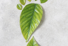 CLEAN SPACES, SMALLER FOOTPRINTS | News