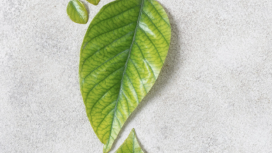 CLEAN SPACES, SMALLER FOOTPRINTS | News