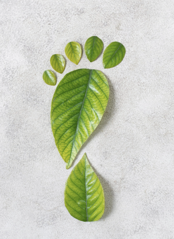 CLEAN SPACES, SMALLER FOOTPRINTS | News
