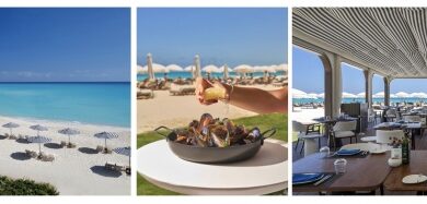 Discover Marassi's ultimate beachside dining destination at B'HAAR Restaurant at Al Alamein Hotel | News