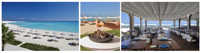 Discover Marassi's ultimate beachside dining destination at B'HAAR Restaurant at Al Alamein Hotel | News