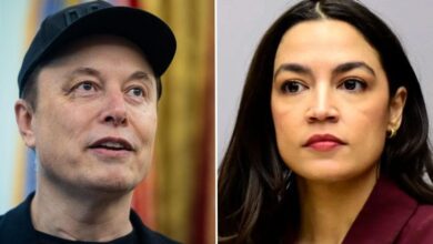 Elon Musk rips AOC's 'lies' after she called billionaire 'A**hole'