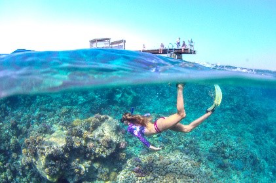Escape to Egypt's Red Sea this summer for the ultimate family vacation | News