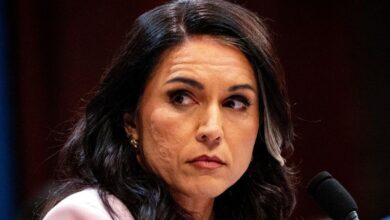 Everything you need to know about Tulsi Gabbard after she quit her job