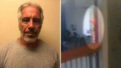 Fired cop testifies she's 'not the orange figure' near Epstein's cell