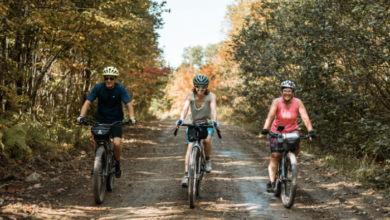 Forged by Nature: Discover Maine's Wild Beauty and Seasonal Events This Summer | News