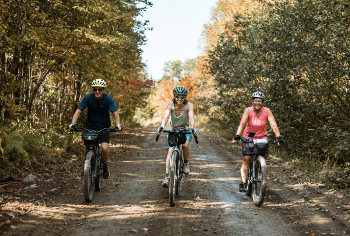 Forged by Nature: Discover Maine's Wild Beauty and Seasonal Events This Summer | News