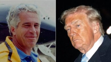 Former assistant to Jeffrey Epstein 'arranged phone calls with Trump'