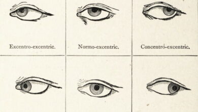 Genevieve Stebbins' *Delsarte System of Dramatic Expression* (1886) — The Public Domain Review