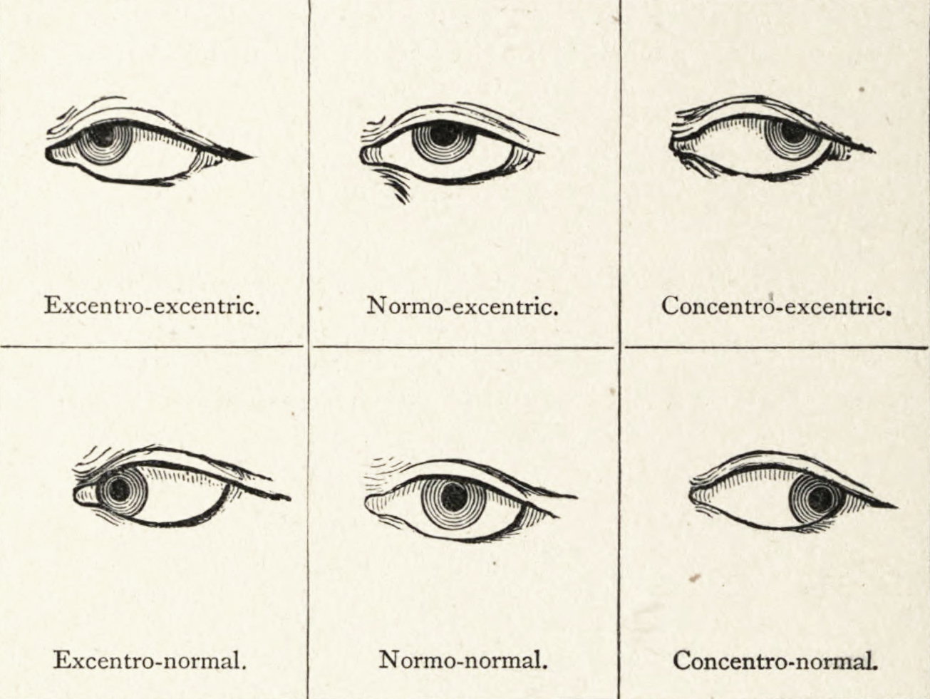 Genevieve Stebbins' *Delsarte System of Dramatic Expression* (1886) — The Public Domain Review