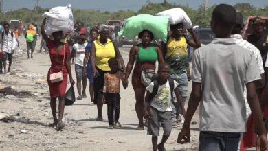 Haiti: UN rights office welcomes new judicial units to tackle gang violence and impunity