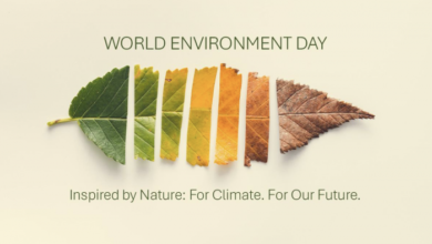 Happy World Environment Day! | News