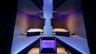 IBS Software's iRetail platform powers Air New Zealand's Skynest | News