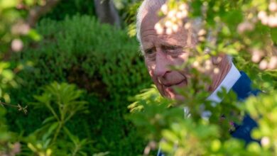 Inside King Charles' 'Healing Garden' during his battle with cancer