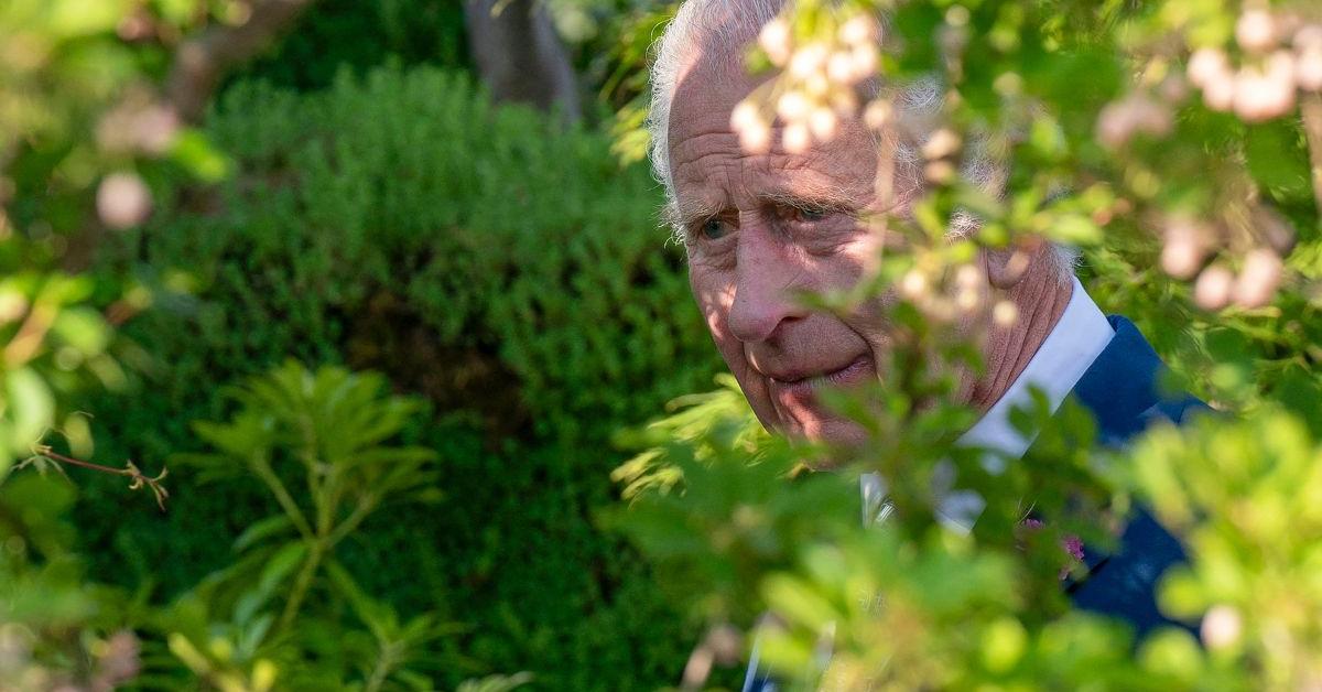 Inside King Charles' 'Healing Garden' during his battle with cancer