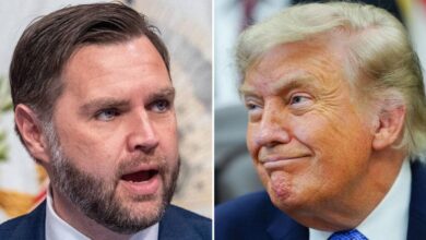 JD Vance only person to 'cage rattle' with 'irritated' Trump over Iran