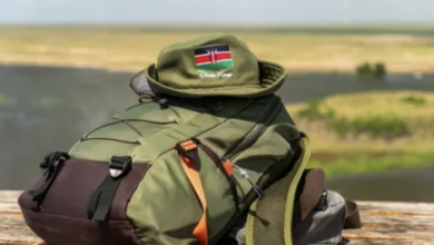 Kenya is driving the growth of African tourism and emerging as a leading powerhouse for sustainable tourism | News