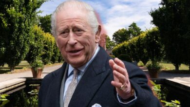 King Charles' 'secret obsession' in the fight against cancer