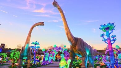 LuminoCity Dino Safari returns to Freehold Raceway Mall the week of July 4 | News