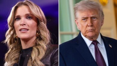 Megyn Kelly Rips Off Trump's MAGA Freedom 250 Festival As Artists Drop Out