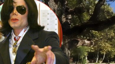 Michael Jackson's alleged secret stash 'exposed'