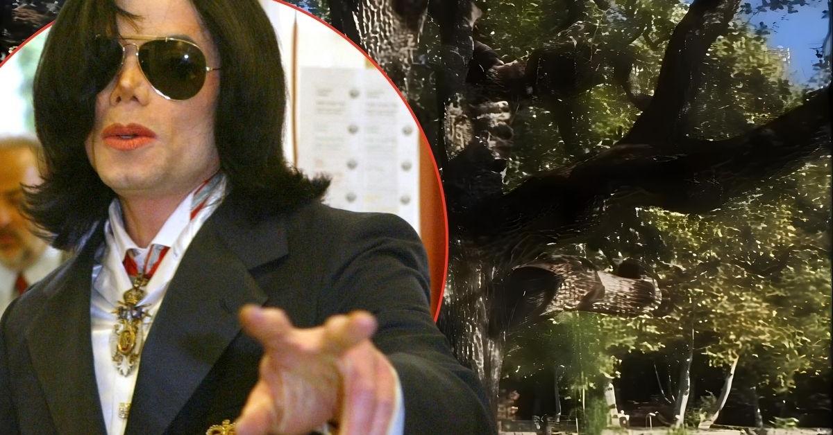 Michael Jackson's alleged secret stash 'exposed'