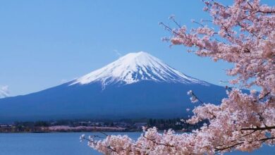 New research shows which destinations travelers think have really changed them - and Japan is number 1 | News