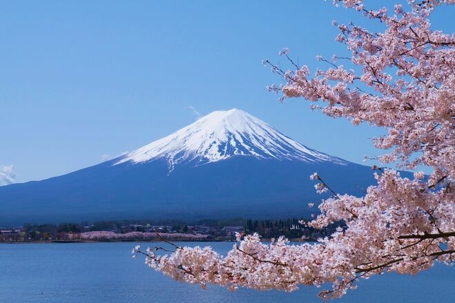 New research shows which destinations travelers think have really changed them - and Japan is number 1 | News