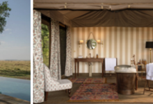 PARADISE PLAINS REOPENED FOR THE SEASON IN THE HEART OF THE MASAI MARA IN KENYA | News