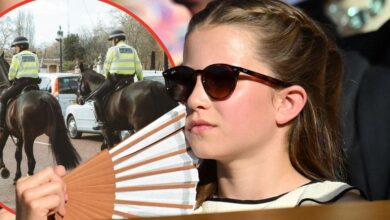 Princess Charlotte has safety concerns over Andrew Windsor's Stalker