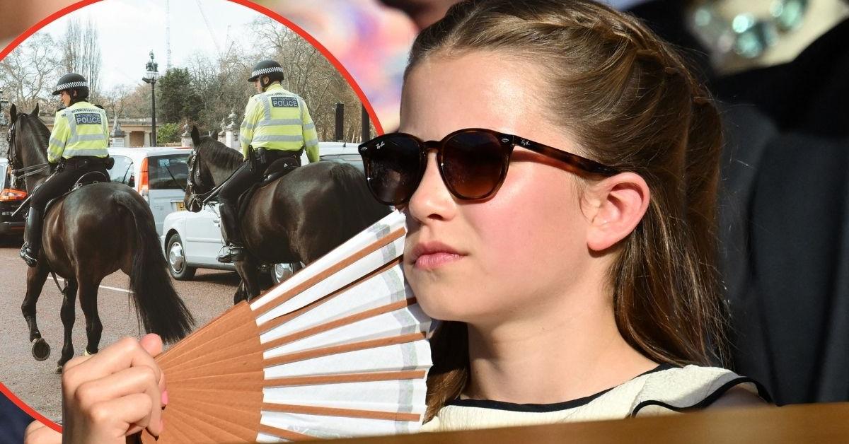 Princess Charlotte has safety concerns over Andrew Windsor's Stalker