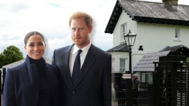 Royal family criticized for expensive Harry and Meghan project