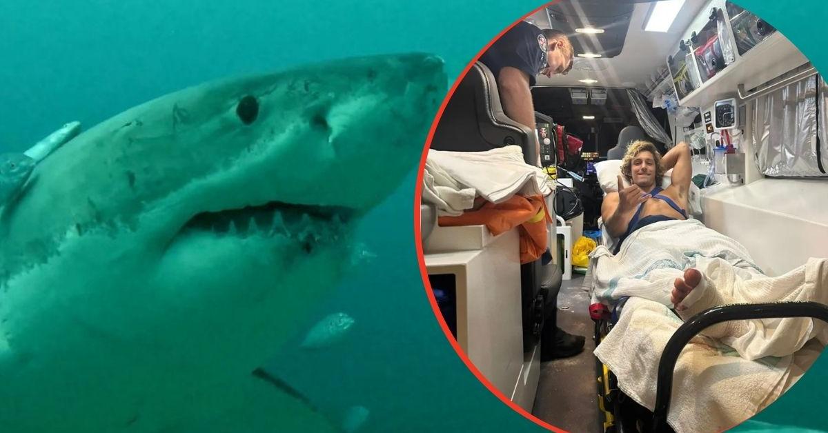Shark attack survivor reveals move he used to escape deadly encounter