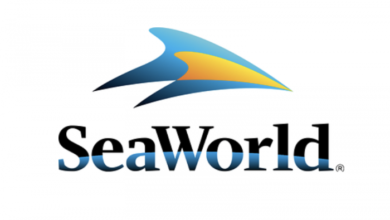 TO CELEBRATE AMERICA'S 250TH ANNIVERSARY, SEAWORLD PARKS LAUNCHES THEIR BEST OFFER OF THE YEAR | News