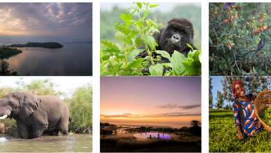 The Lux Collective celebrates the launch of LUX* Lake Kivu & SALT of Akagera in Rwanda | News