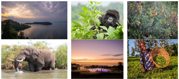The Lux Collective celebrates the launch of LUX* Lake Kivu & SALT of Akagera in Rwanda | News