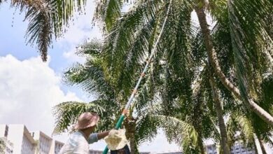The Sanya EDITION redefines travel experiences for families | News