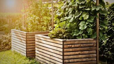 The longevity habit that's reshaping what buyers want